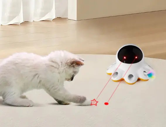 Electric Cat Toy